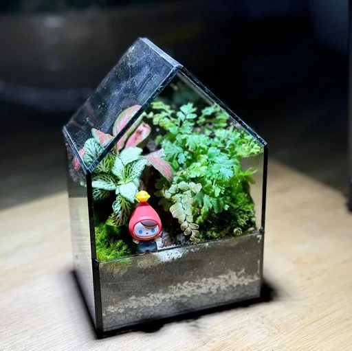 Corporate Door Gift Terrarium Set Online Exclusive – (Pre-order)Petite Forest x 10 Sets