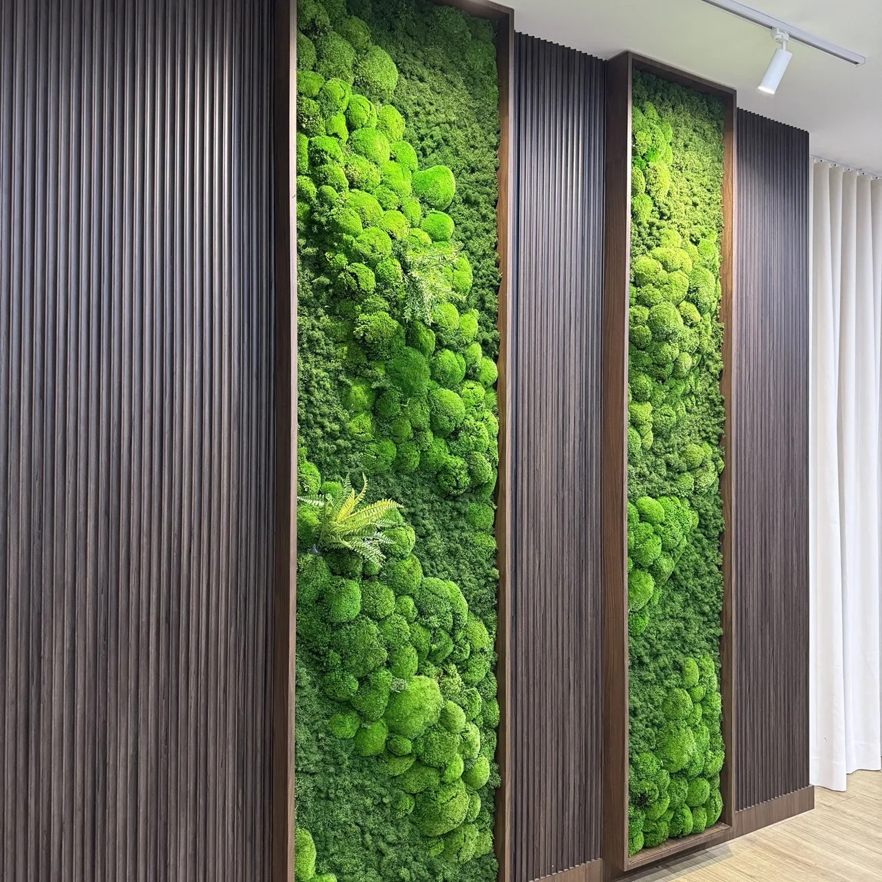 Sustainable indoor moss wall for modern eco-friendly space