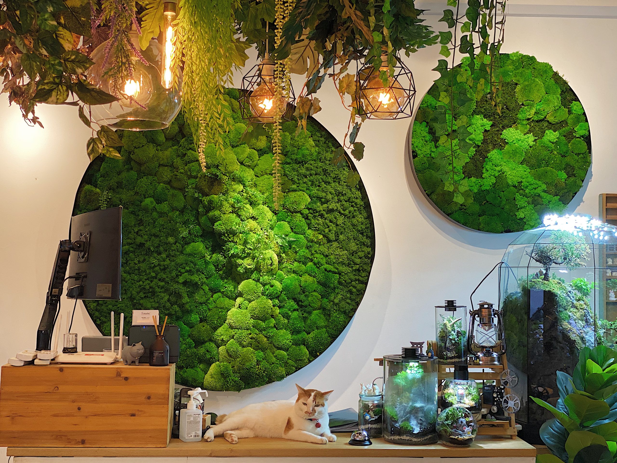 Moss Cladding The Rise of Preserved Moss Walls | Sustainable Design in Malaysia