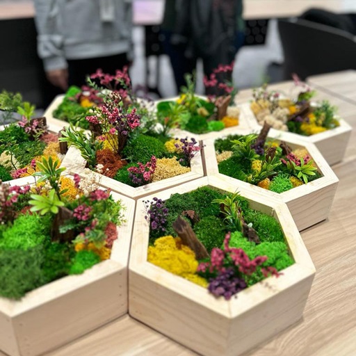 ands-on preserved moss frame workshop in Kuala Lumpur by Mossarium, where attendees design unique moss art pieces.