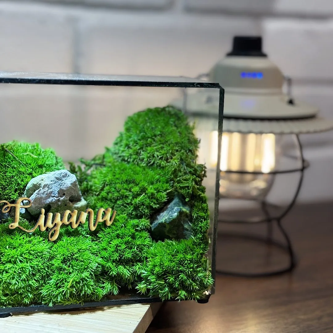 customised name preserved moss terrarium Malaysia