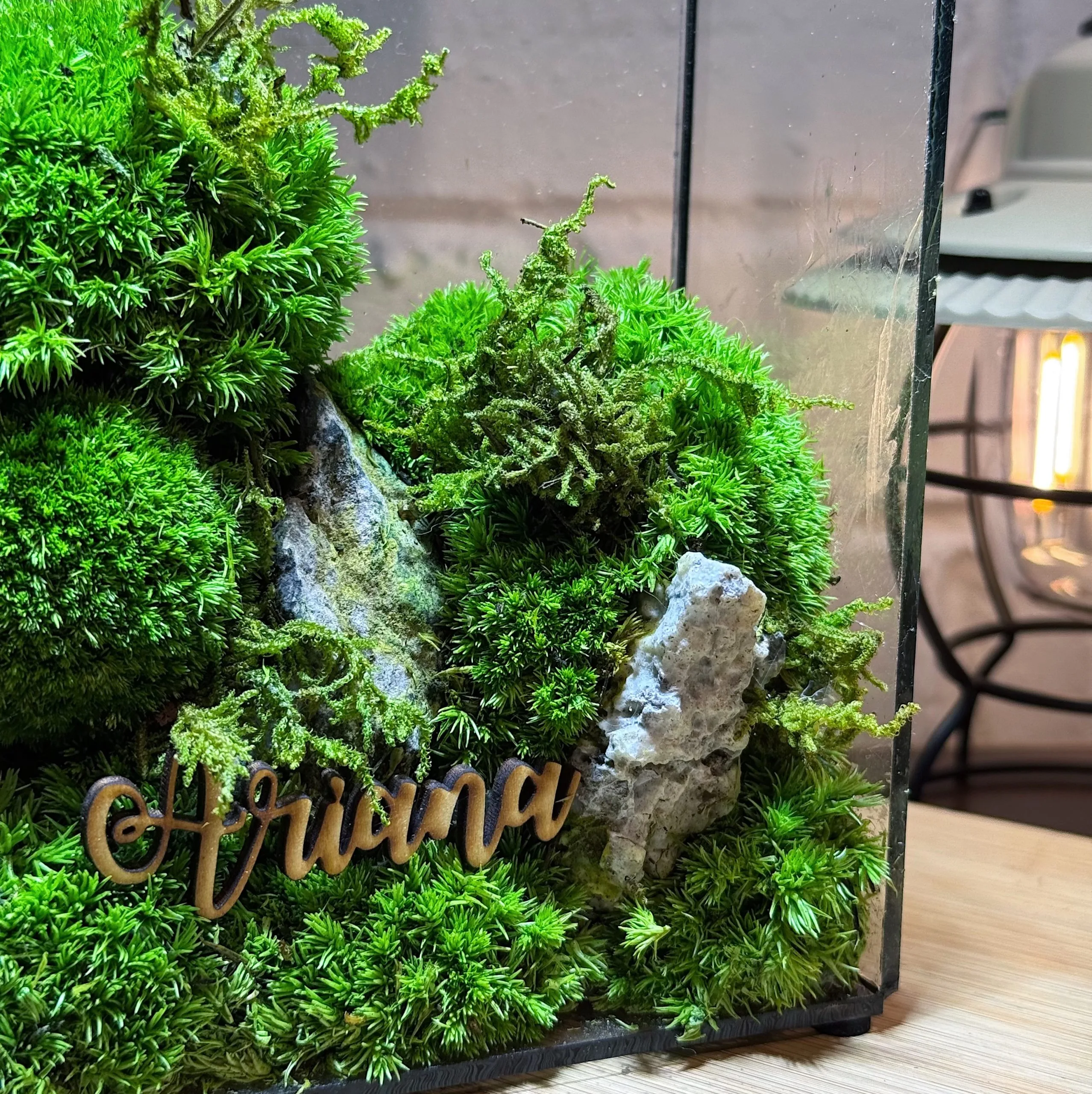 mossarium moss wall frame mini terrairum (4) customised name preserved moss terrarium Malaysia