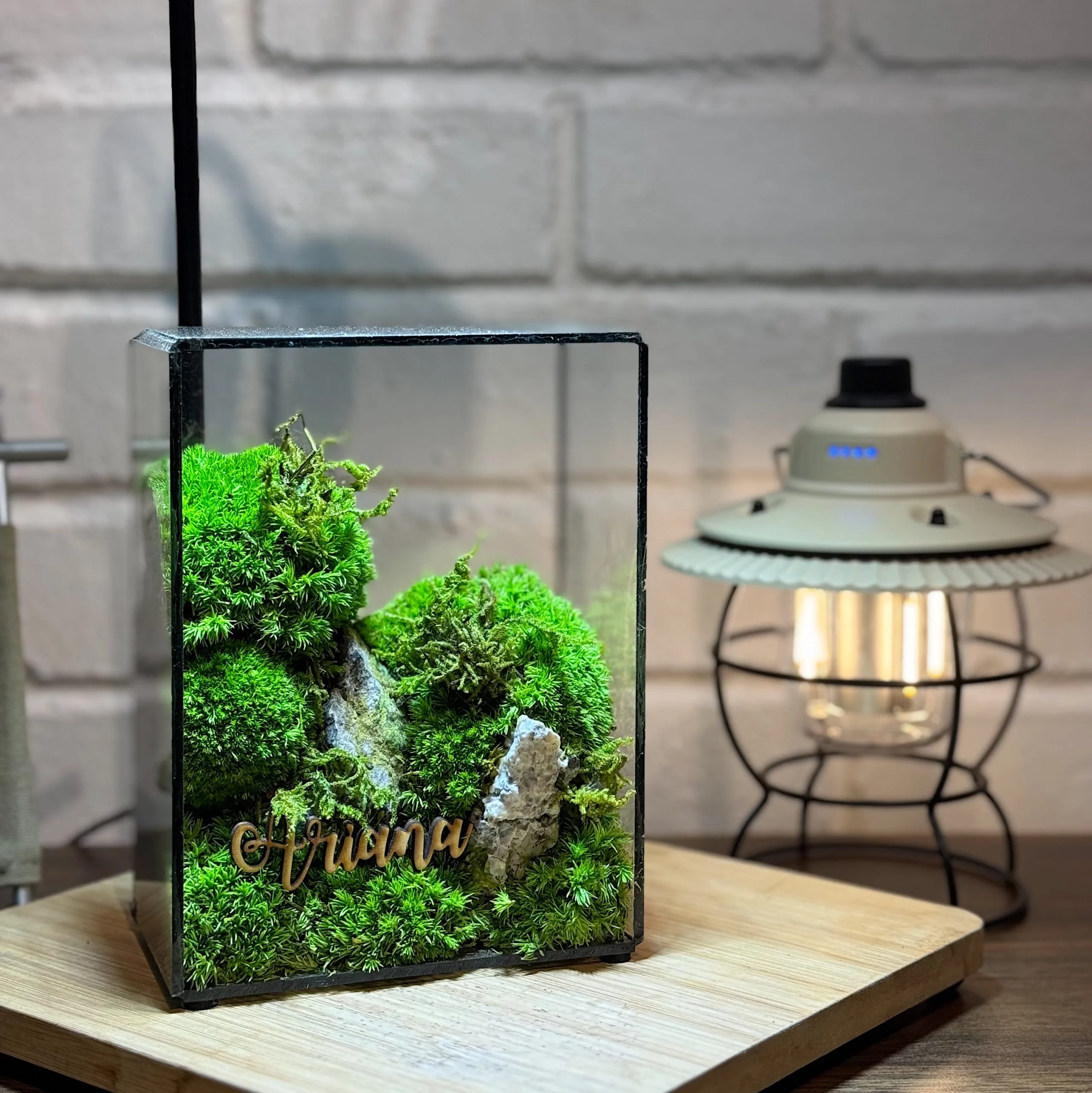 mossarium moss wall frame mini terrairum (5) customised name preserved moss terrarium Malaysia