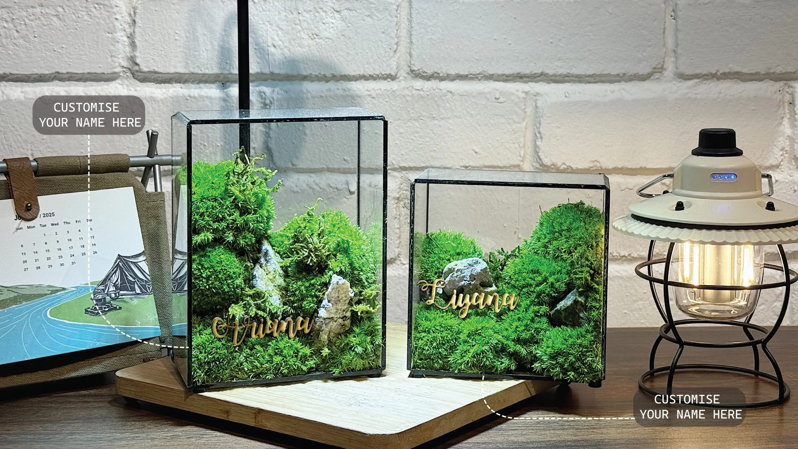 mossarium terrarium malaysia online door gift idea moss frame