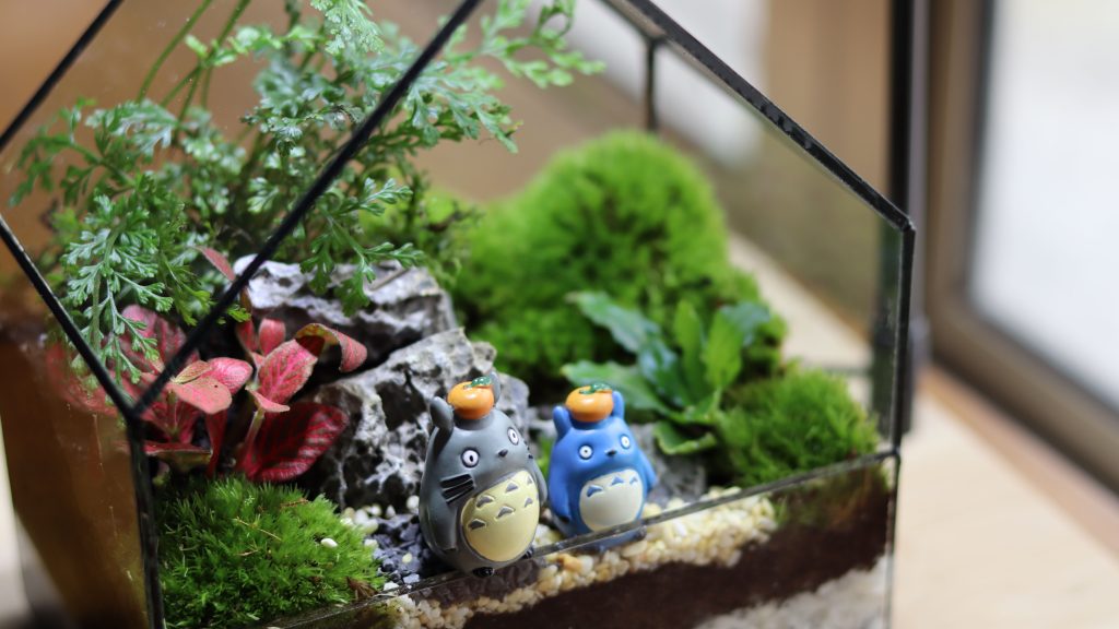 tropical rainforest terrarium mossarium