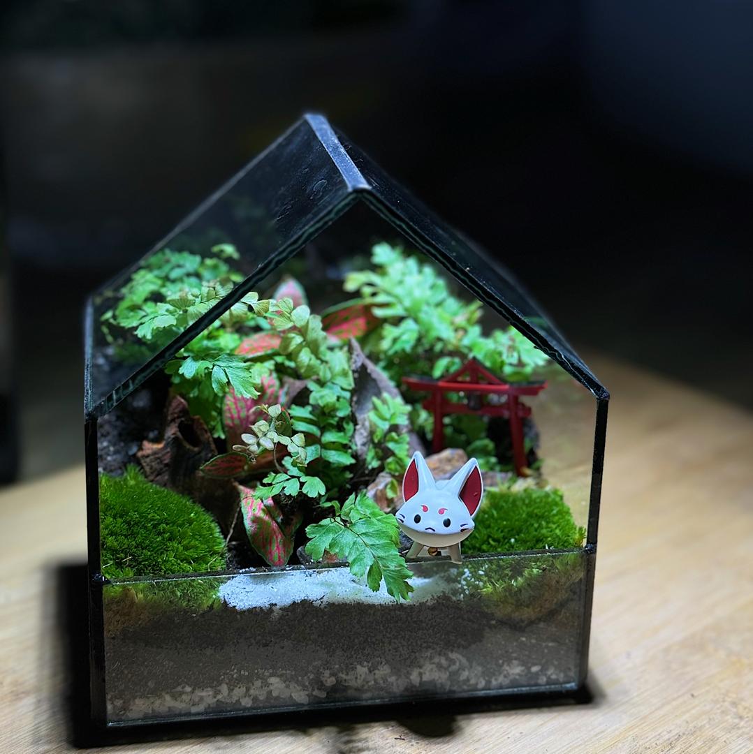 mossarium terrarium gift