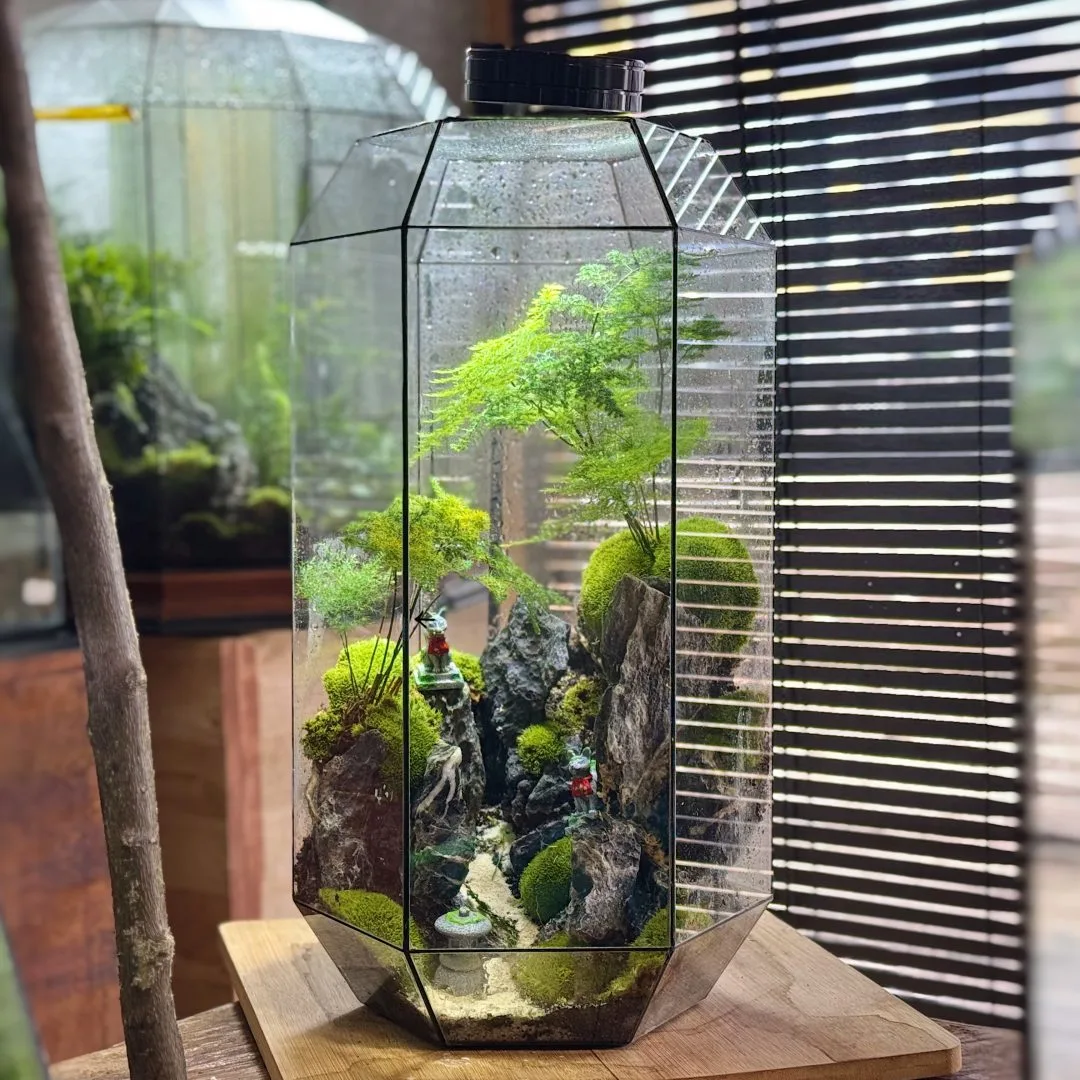 zen garden terrarium gift