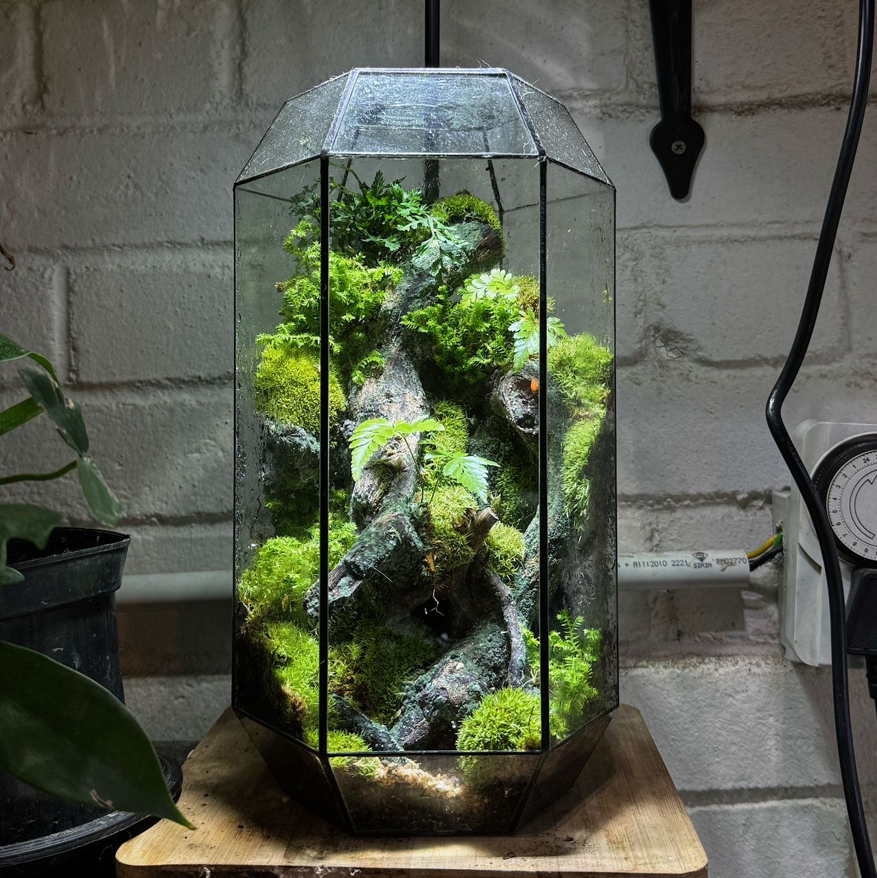 zen garden terrarium gift18 PM zen garden terrarium gift